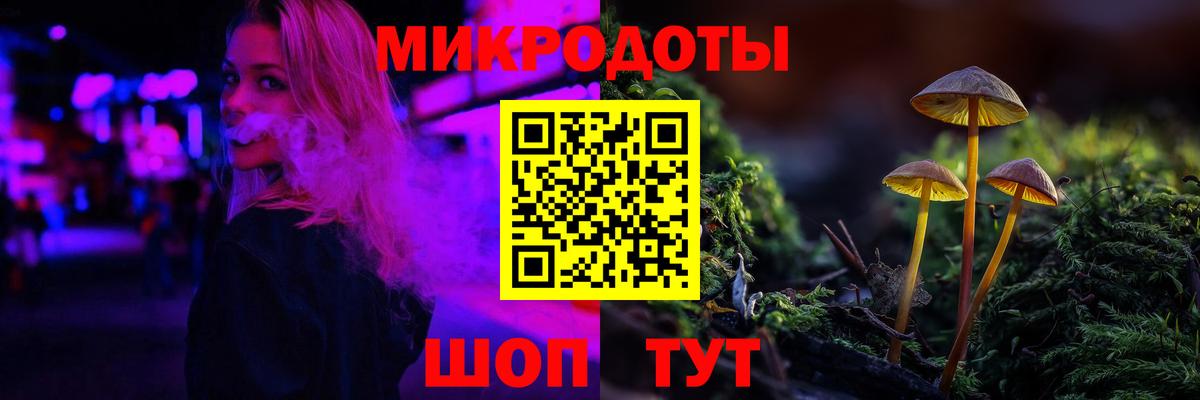 Псилоцибиновые грибы прущие грибы Владимир