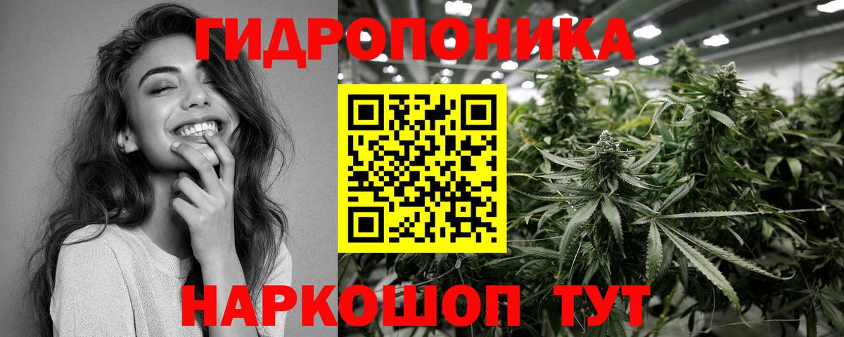 Шишки марихуана White Widow  Шишки марихуана SATIVA & INDICA  Владимир  Каннабис марихуана  Вход с VPN 